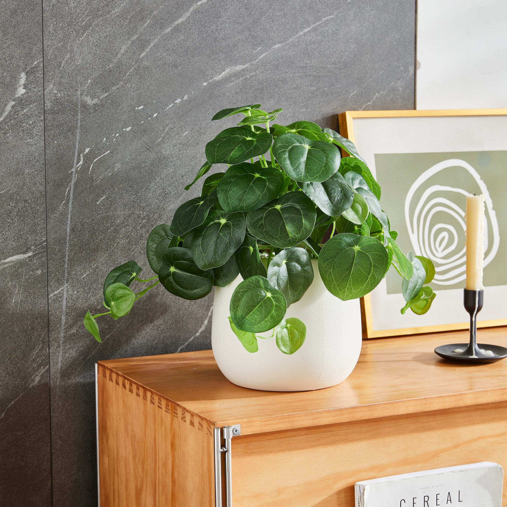 Künstlicher Geldbaum – Cassian | 39 cm