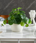 Künstlicher Geldbaum – Cassian | 39 cm