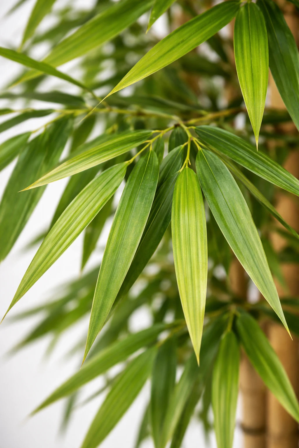 Künstlicher Bambus – Kenai | 150 cm