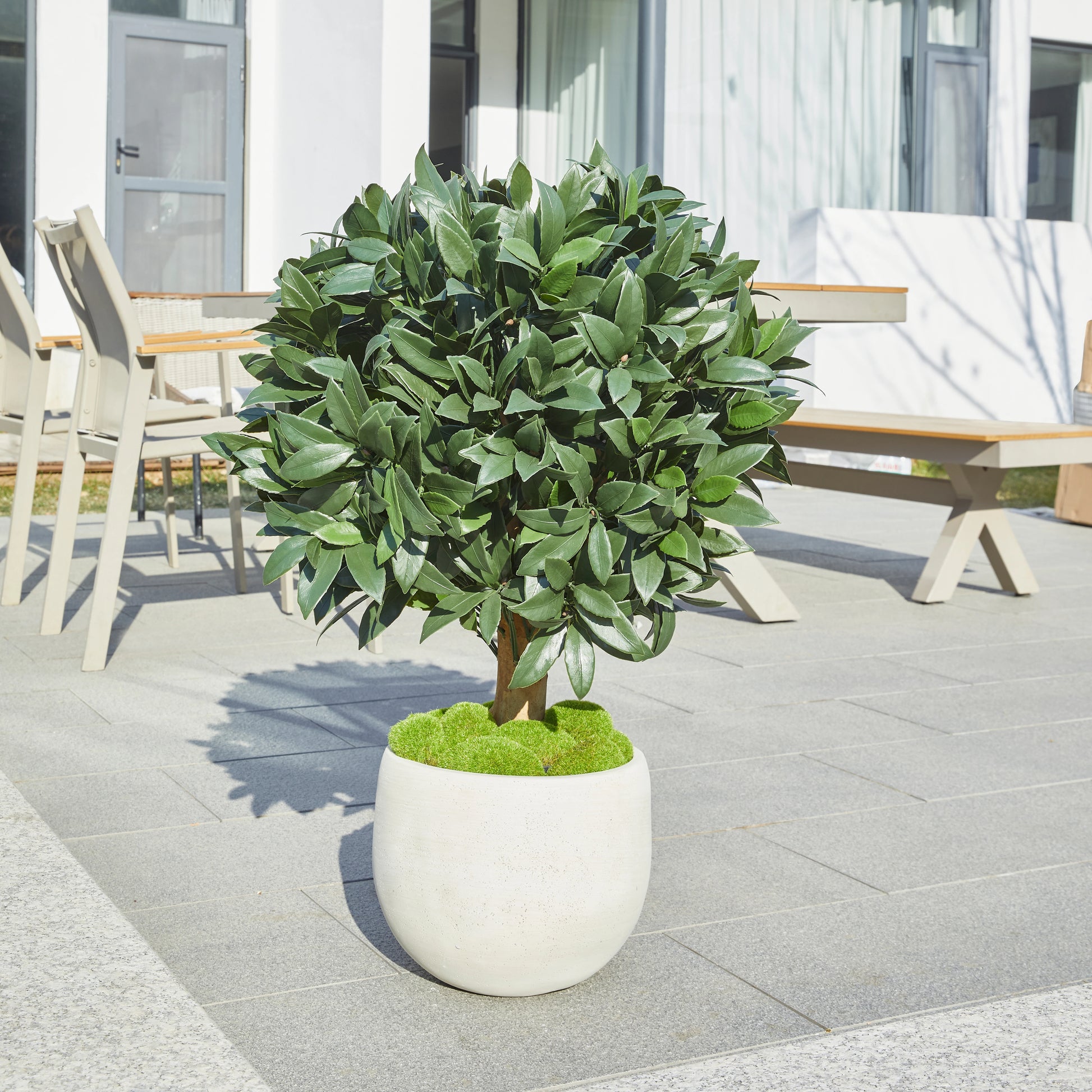 Künstlicher Lorbeerbaum - Vaelis, 75 cm, Kunstbaum von aplanta, mit Echtholzstamm, UV-beständig, inkl. Startertopf, in Grün
