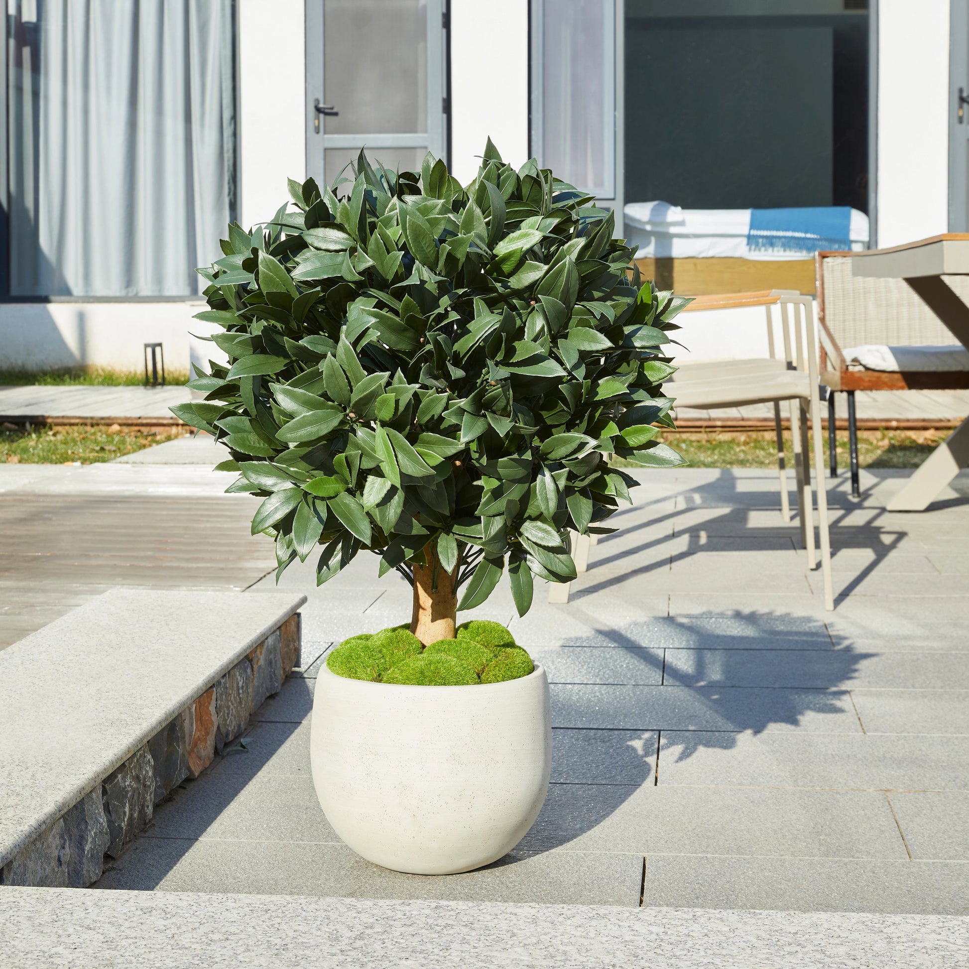 Künstlicher Lorbeerbaum - Vaelis, 75 cm, Kunstbaum von aplanta, mit Echtholzstamm, UV-beständig, inkl. Startertopf, in Grün