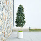 Künstlicher Lorbeerbaum - Alarion, 150 cm, Kunstbaum von aplanta, mit Echtholzstamm, UV-beständig, inkl. Startertopf, in Grün