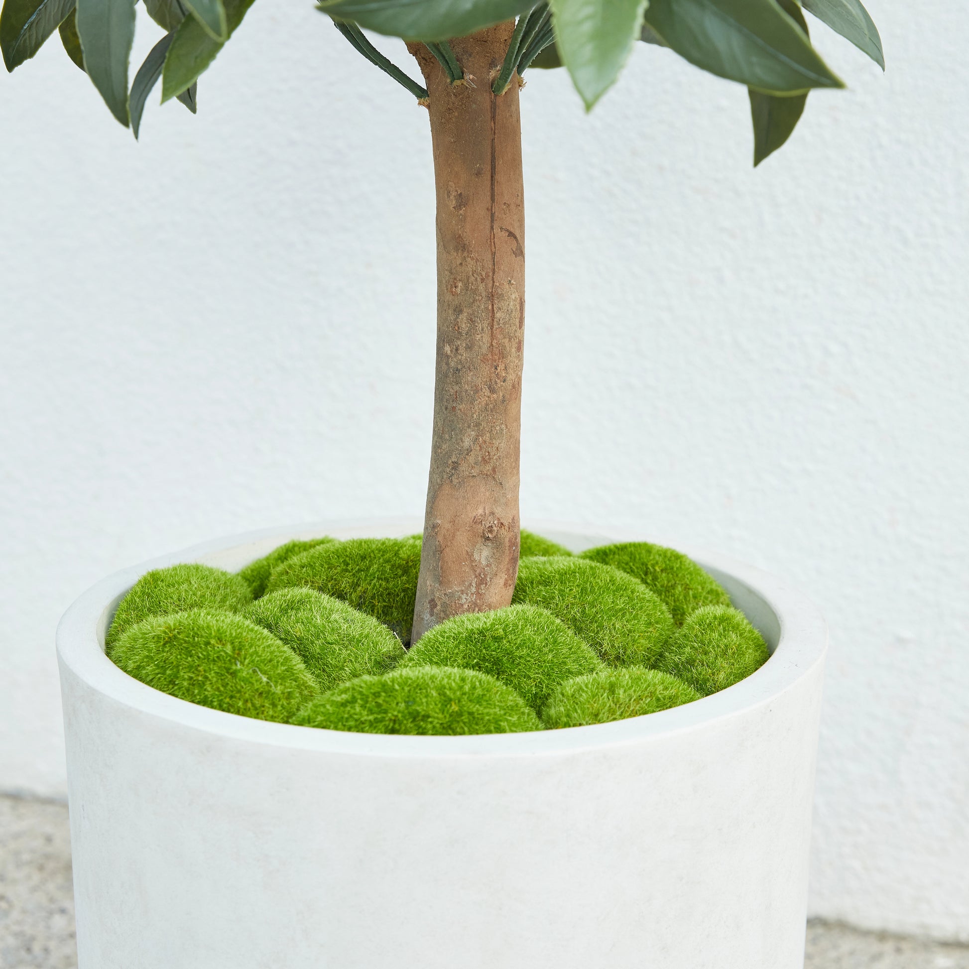 Künstlicher Lorbeerbaum – Alarion | 150 cm