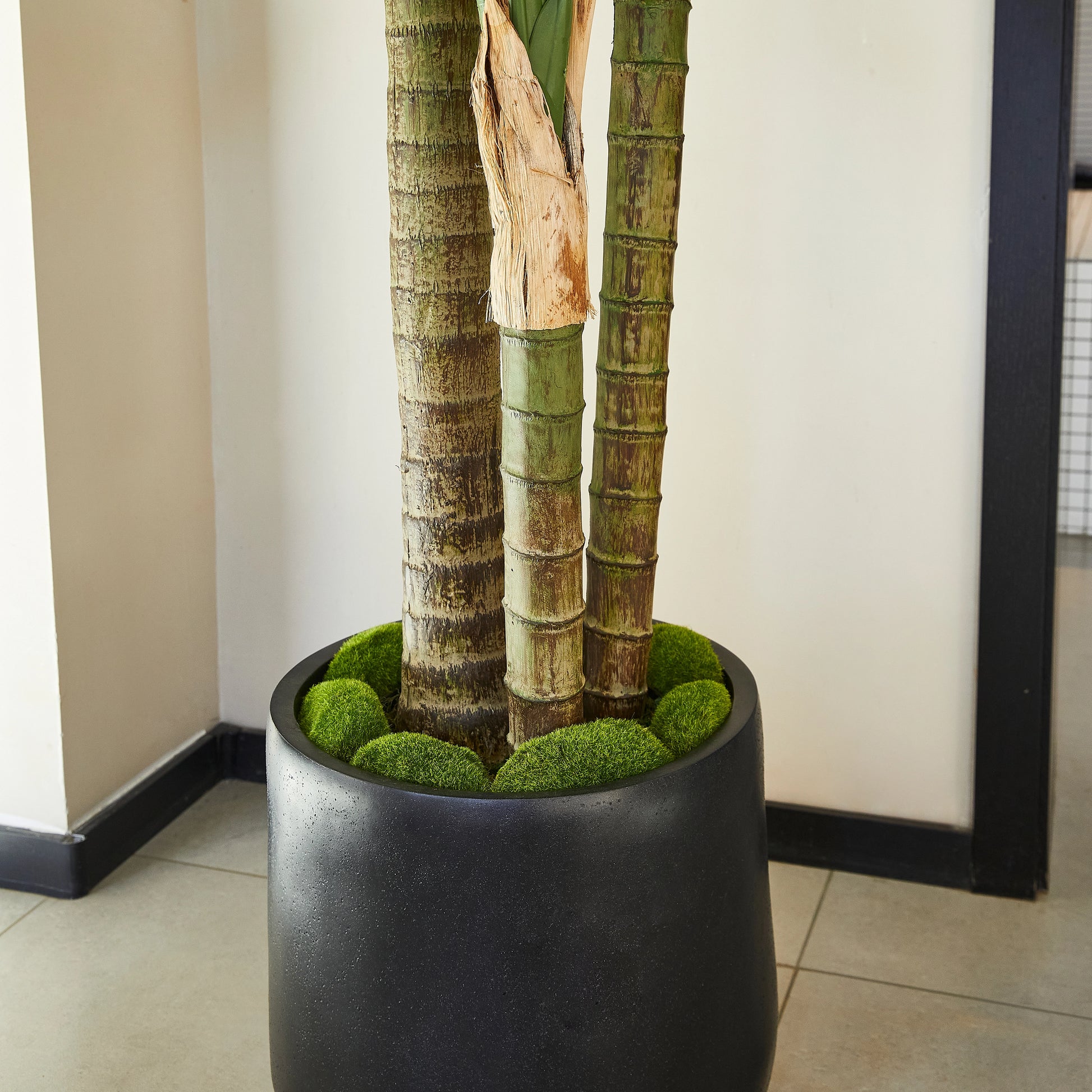 Künstliche Goldfruchtpalme – Elion | 180 cm