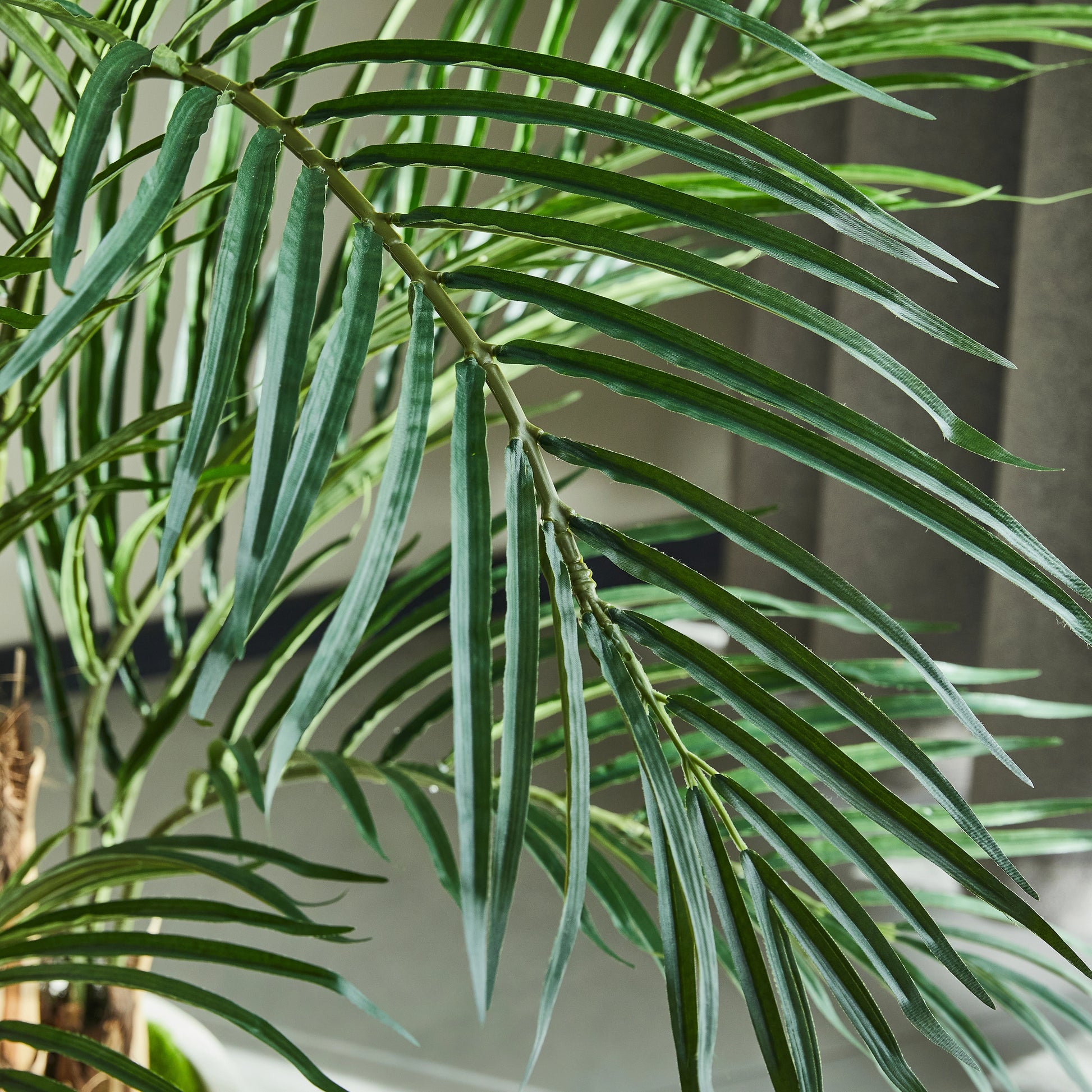 Künstliche Kentia-Palme – Caliora | 140 cm