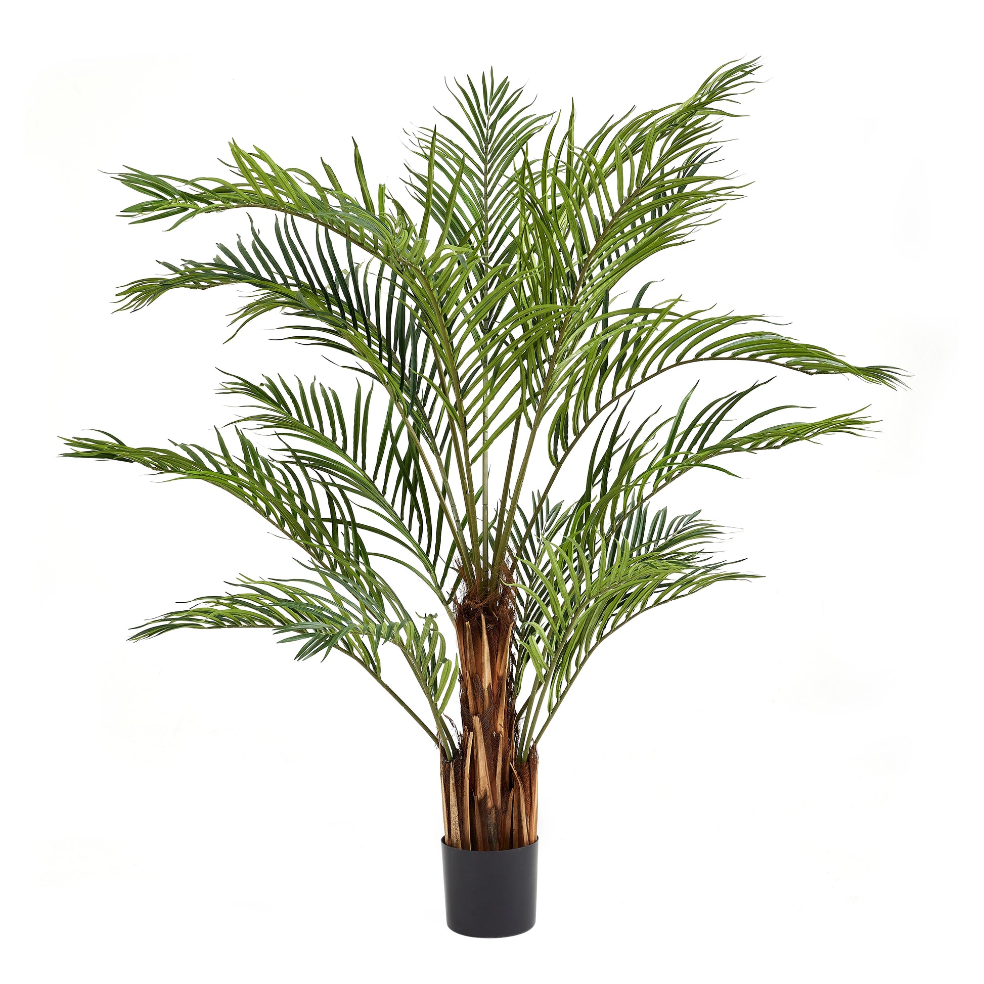 Künstliche Kentia-Palme – Caliora | 180 cm
