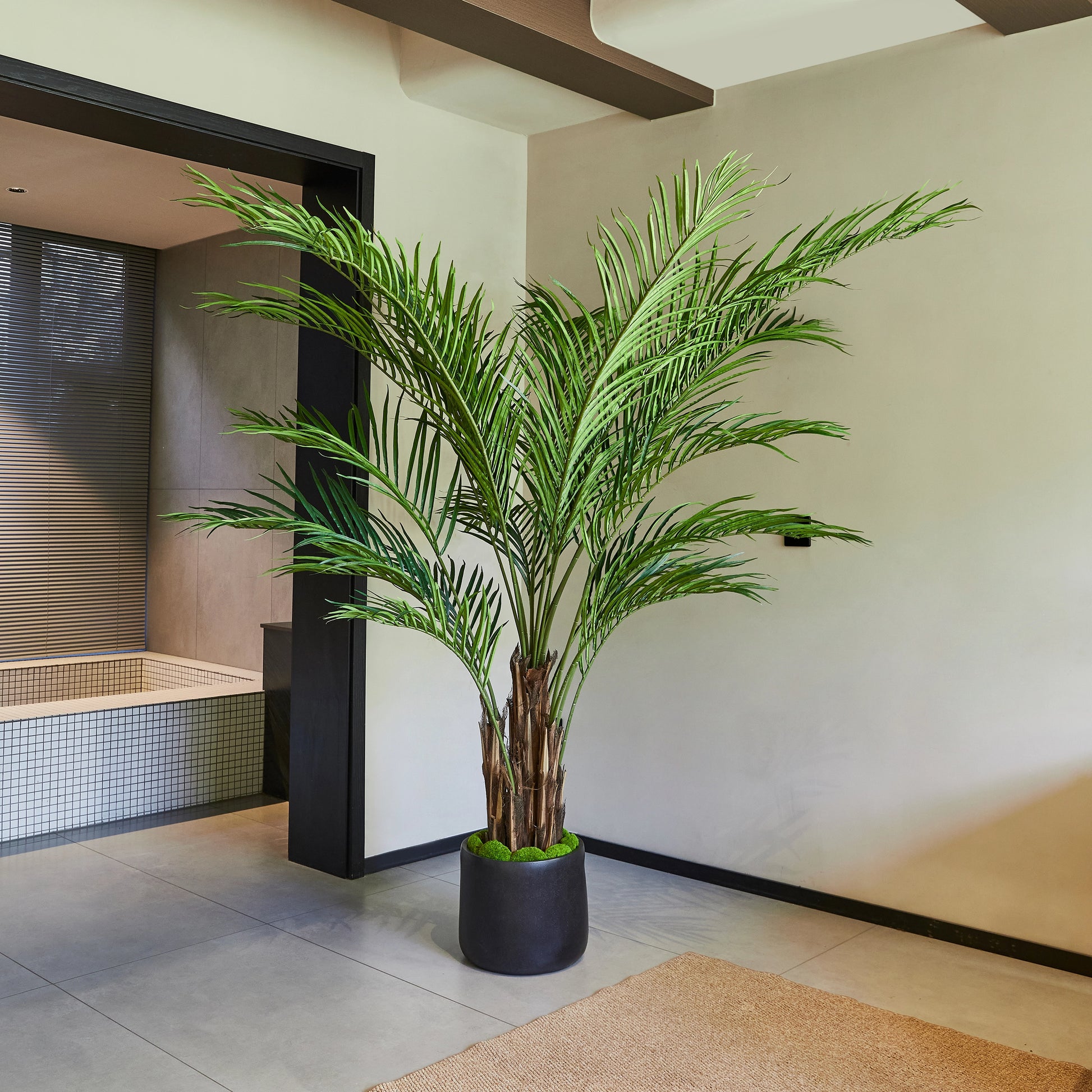 Künstliche Areca-Palme – Caliora | 210 cm