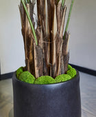 Künstliche Areca-Palme – Caliora | 210 cm