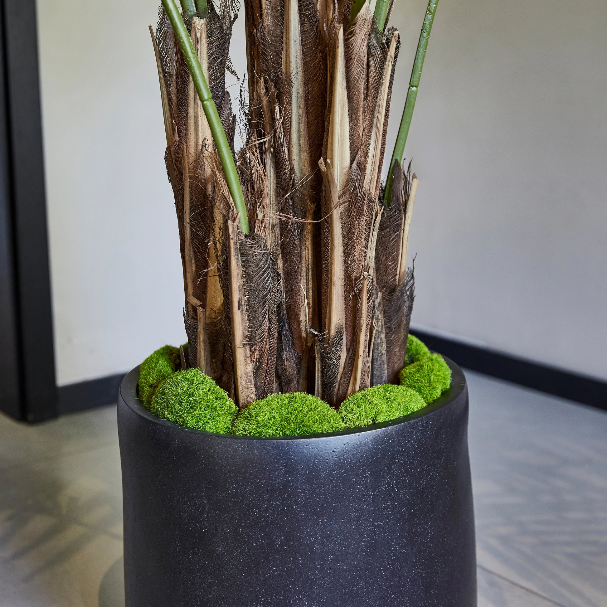 Künstliche Areca-Palme – Caliora | 210 cm