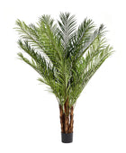 Künstliche Palme – Caliora | 240 cm