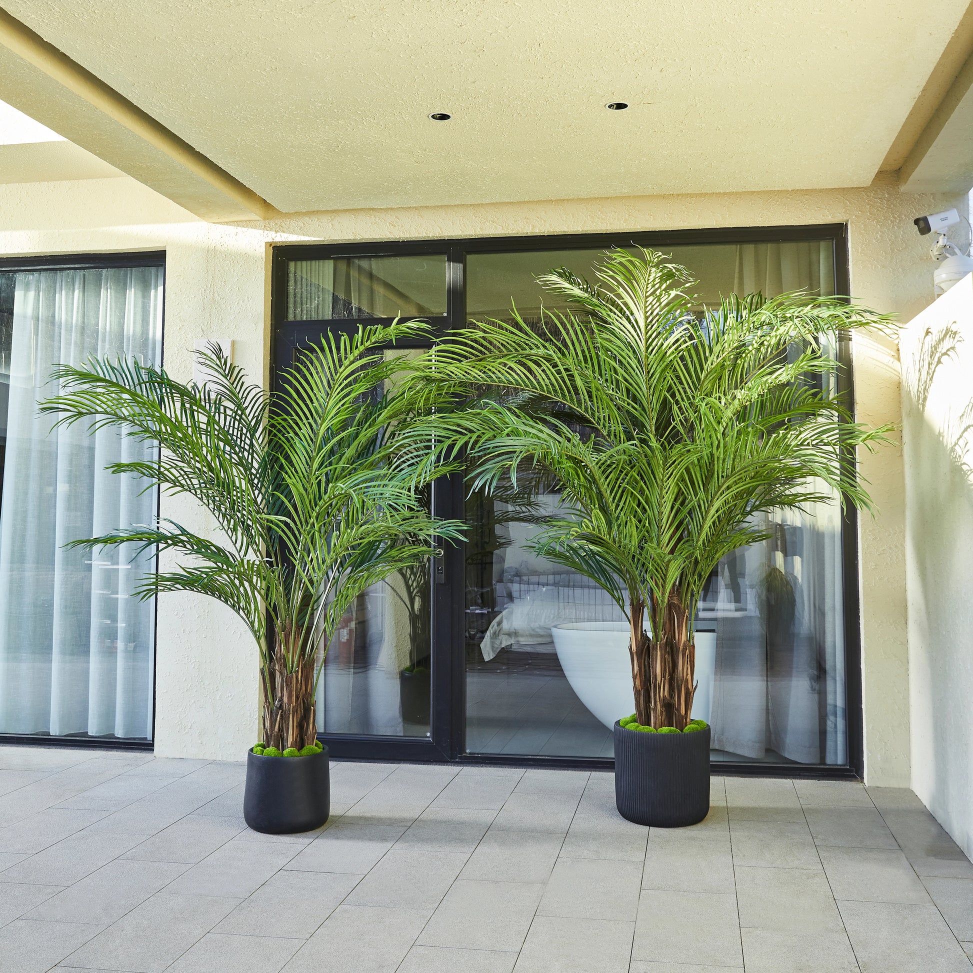 Künstliche Palme – Caliora | 240 cm