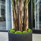 Künstliche Palme - Caliora, 240 cm, Kunstbaum von aplanta, inkl. Startertopf, in Grün, für drinnen