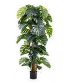 Künstlicher Split-Philodendron – Zephira | 190 cm