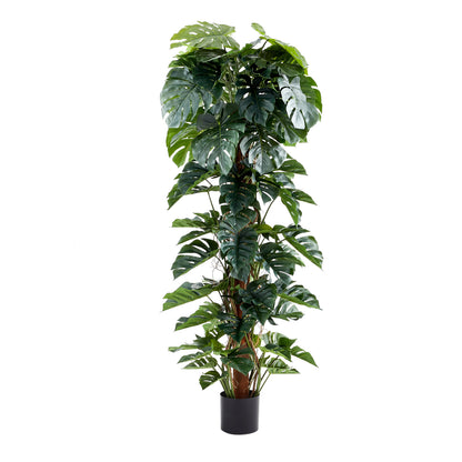 Künstlicher Split-Philodendron - Zephira, 210 cm, Kunstpflanze von aplanta, inkl. Startertopf, in Grün, für drinnen