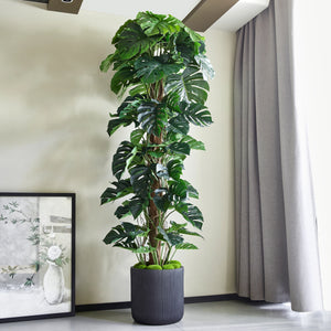 Künstlicher Split-Philodendron – Zephira | 210 cm