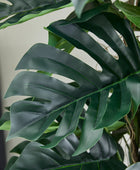 Künstlicher Split-Philodendron – Zephira | 210 cm