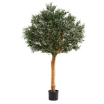 Künstlicher Olivenbaum - Eleutherios, 210 cm, Kunstbaum von aplanta, mit Echtholzstamm, UV-beständig, inkl. Startertopf