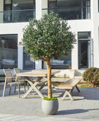 Künstlicher Olivenbaum – Eleutherios | 210 cm