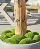 Künstlicher Olivenbaum – Eleutherios | 210 cm