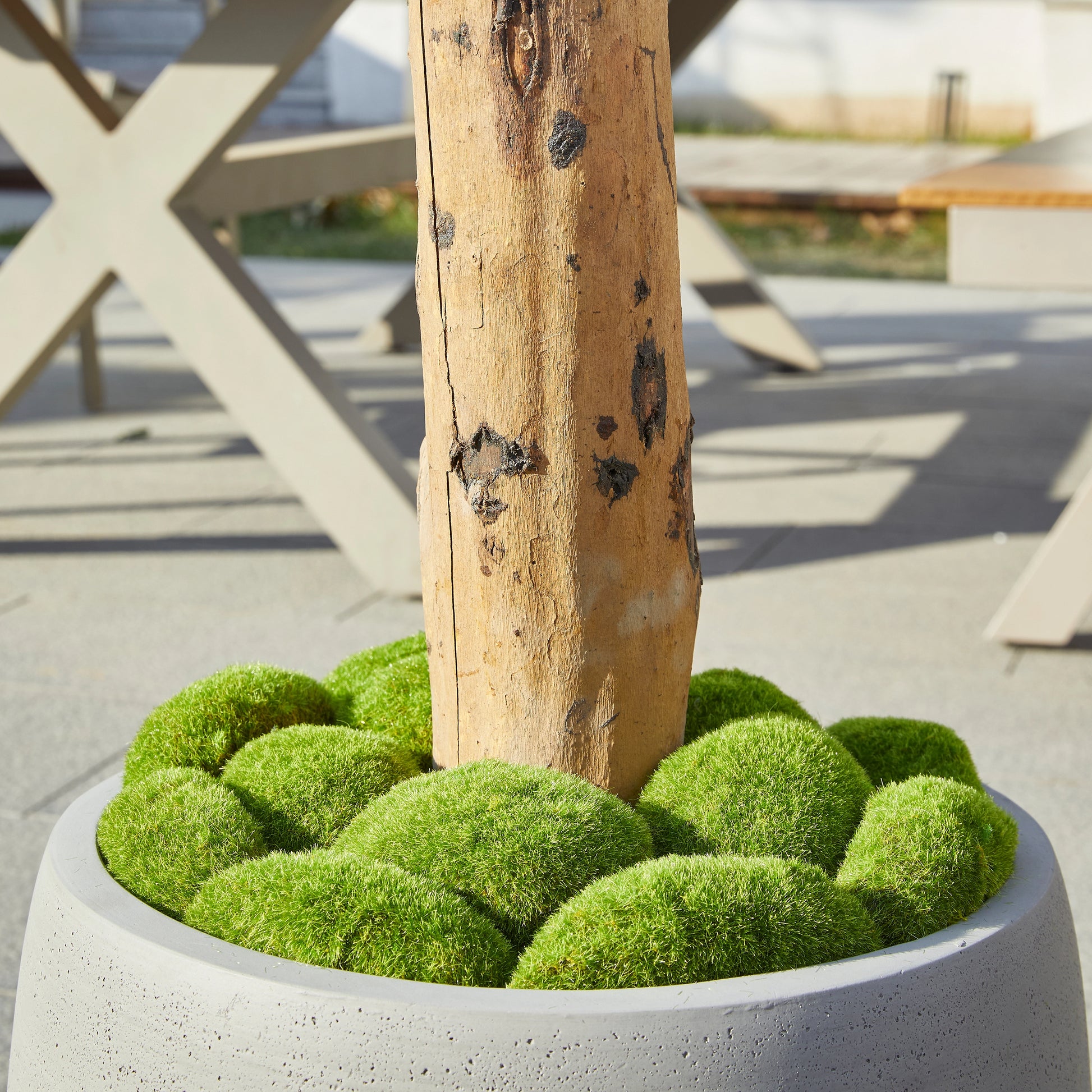 Künstlicher Olivenbaum – Eleutherios | 210 cm