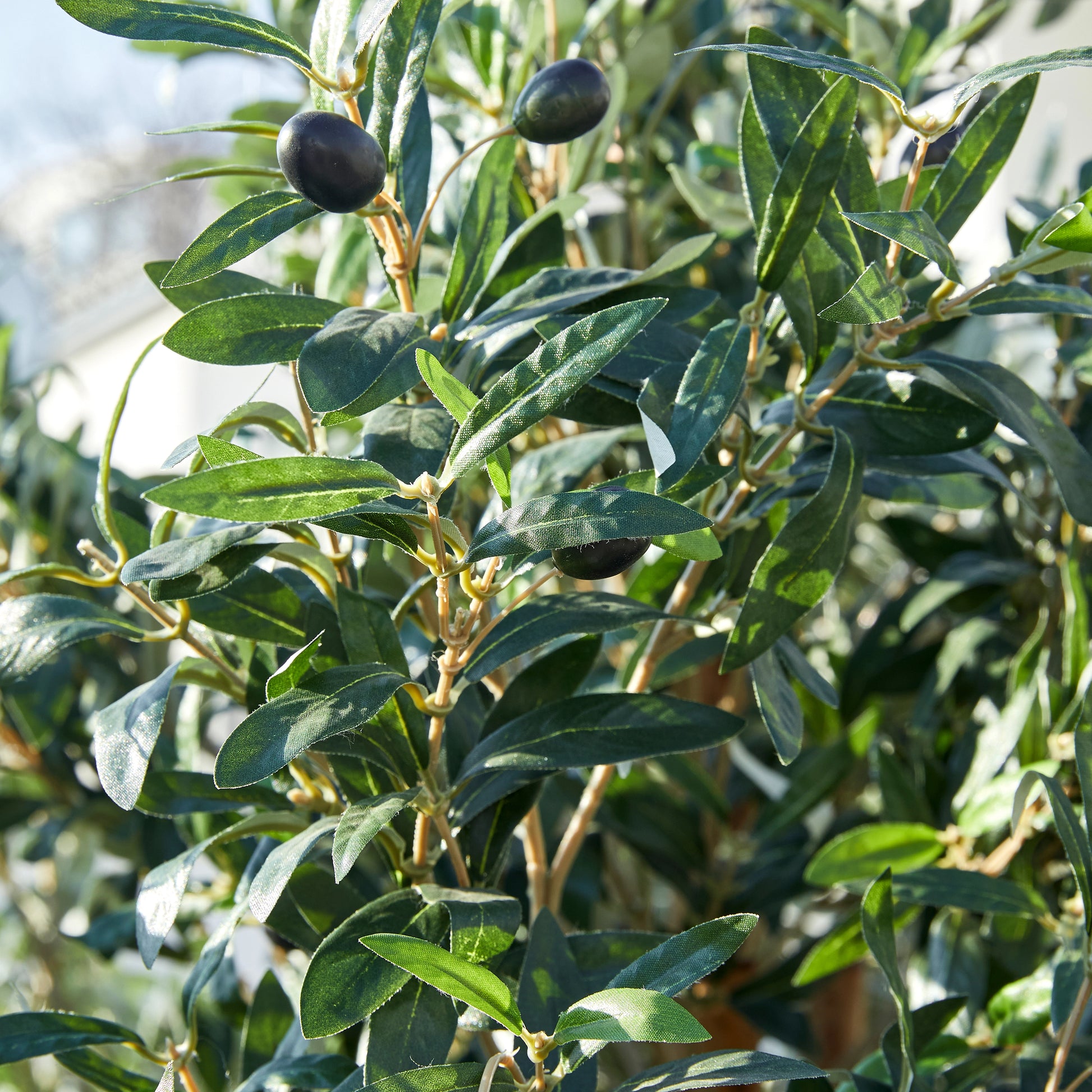 Künstlicher Olivenbaum – Eleutherios | 210 cm