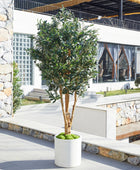 Künstlicher Olivenbaum – Lysandra | 150 cm