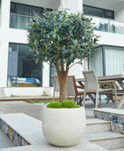 Künstlicher Olivenbaum – Nerio | 75 cm