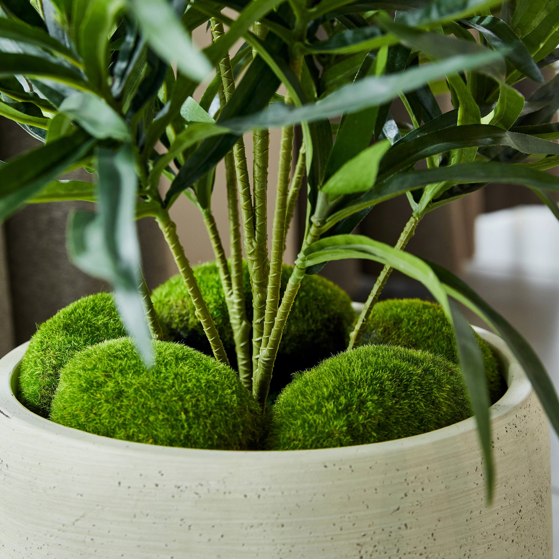 Künstliche Dracaena Reflexa – Orielle | 70 cm