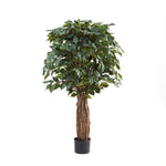 Künstlicher Ficus - Amadior, 150 cm, Kunstbaum von aplanta, mit Echtholzstamm, UV-beständig, inkl. Startertopf, in Grün