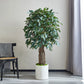 Künstlicher Ficus - Amadior, 150 cm, Kunstbaum von aplanta, mit Echtholzstamm, UV-beständig, inkl. Startertopf, in Grün
