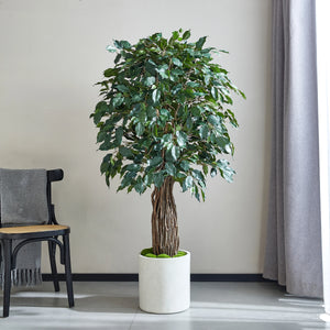 Künstlicher Ficus – Amadior | 150 cm