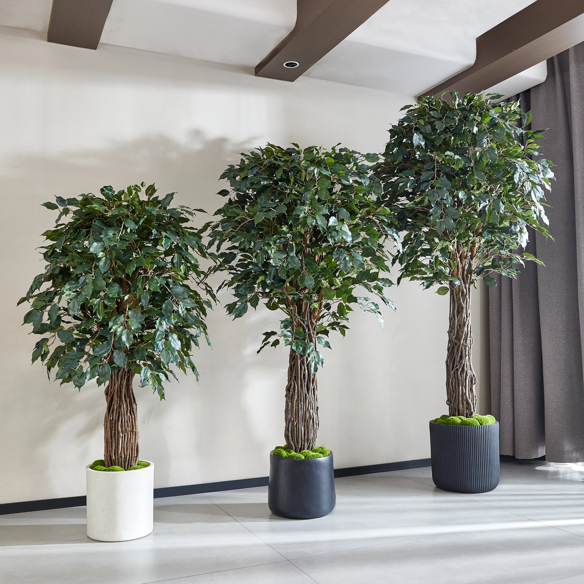 Künstlicher Ficus – Amadior | 180 cm