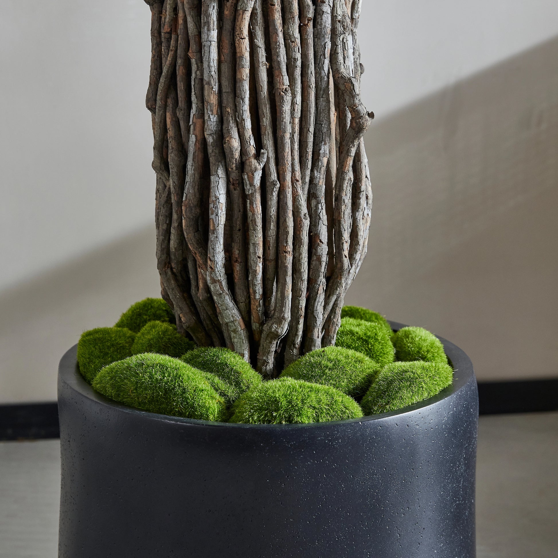 Künstlicher Ficus – Amadior | 180 cm