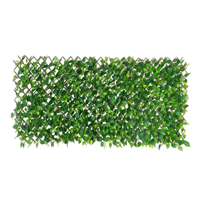 Flexible Pothos Pflanzenwand - Melvin | 130-200 cm