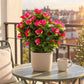 Künstliche Steck-Bougainvillea - Elly | 50 cm fuchsia