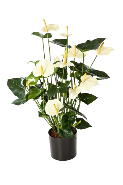 Künstliche Flamingoblume - Zenta, 78 cm, Kunstpflanze von aplanta, in Creme, für drinnen
