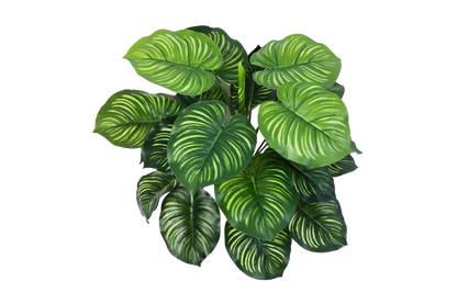 Künstliche Calathea - Clara, 45 cm, Kunstpflanze von aplanta, Steckpflanze, in Natur, für drinnen