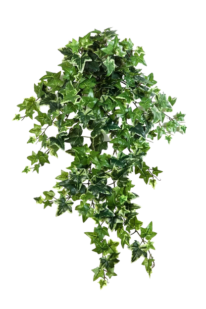 Künstlicher Efeu - Alexandra, 70 cm, Kunstpflanze von aplanta, Steckpflanze, für drinnen