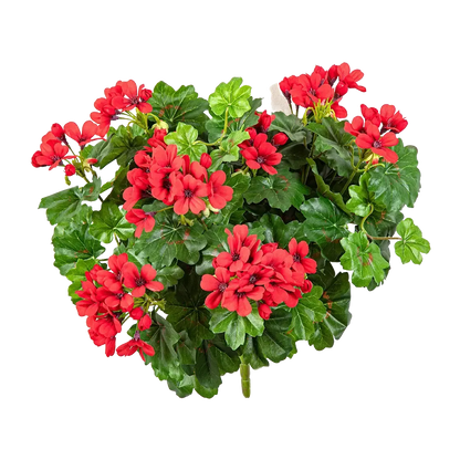 Hochwertige Kunstpflanze Geranie auf transparentem Hintergrund mit echt wirkenden Kunstblättern in natürlicher Anordnung. Künstliche Geranie - Aaron hat die Farbe Natur und ist 35 cm hoch. | aplanta Kunstpflanzen