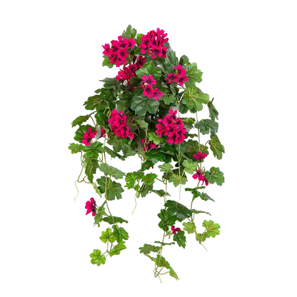 Hochwertige künstliche Hängepflanze auf transparentem Hintergrund mit echt wirkenden Kunstblättern in natürlicher Anordnung. Künstliche Hänge-Geranie - Arne hat die Farbe Natur und ist 72 cm hoch. | aplanta Kunstpflanzen