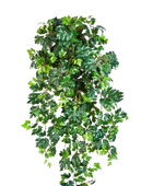 Hochwertige künstliche Hängepflanze auf transparentem Hintergrund mit echt wirkenden Kunstblättern in natürlicher Anordnung. Künstliche Hänge-Weinrebe - Artur hat die Farbe Natur und ist 90 cm hoch. | aplanta Kunstpflanzen