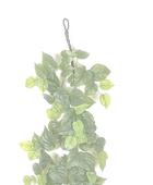 Hochwertige künstliche Hängepflanze auf transparentem Hintergrund mit echt wirkenden Kunstblättern in natürlicher Anordnung. Künstliche Pothos Girlande - Beyza hat die Farbe Natur und ist 180 cm hoch. | aplanta Kunstpflanzen