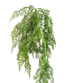 Hochwertige künstliche Hängepflanze auf transparentem Hintergrund mit echt wirkenden Kunstblättern in natürlicher Anordnung. Künstlicher Hänge-Wurmfarn - Bennett hat die Farbe Natur und ist 60 cm hoch. | aplanta Kunstpflanzen