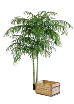 Künstliche Areca Palme - Christine, 210 cm, Kunstbaum von aplanta, im schwarzen Topf, in Natur, für drinnen