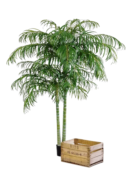 Künstliche Areca Palme - Christine, 210 cm, Kunstbaum von aplanta, im schwarzen Topf, in Natur, für drinnen