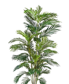 Künstliche Goldfruchtpalme - Connor | 180 cm