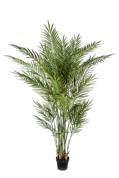 Künstliche Goldfruchtpalme - Eva, 205 cm, Kunstbaum von aplanta, im schwarzen Topf, in Natur, für drinnen