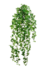 Künstliche Hänge-Fittonia - Freya, 85 cm, Kunstpflanze von aplanta, Steckpflanze, in Natur, für drinnen