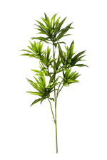 Künstlicher Drachenbaum-Zweig - Gian, 70 cm, Kunstpflanze von aplanta, Steckpflanze, in Natur, für drinnen