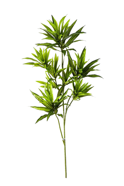 Künstlicher Drachenbaum-Zweig - Gian, 70 cm, Kunstpflanze von aplanta, Steckpflanze, in Natur, für drinnen